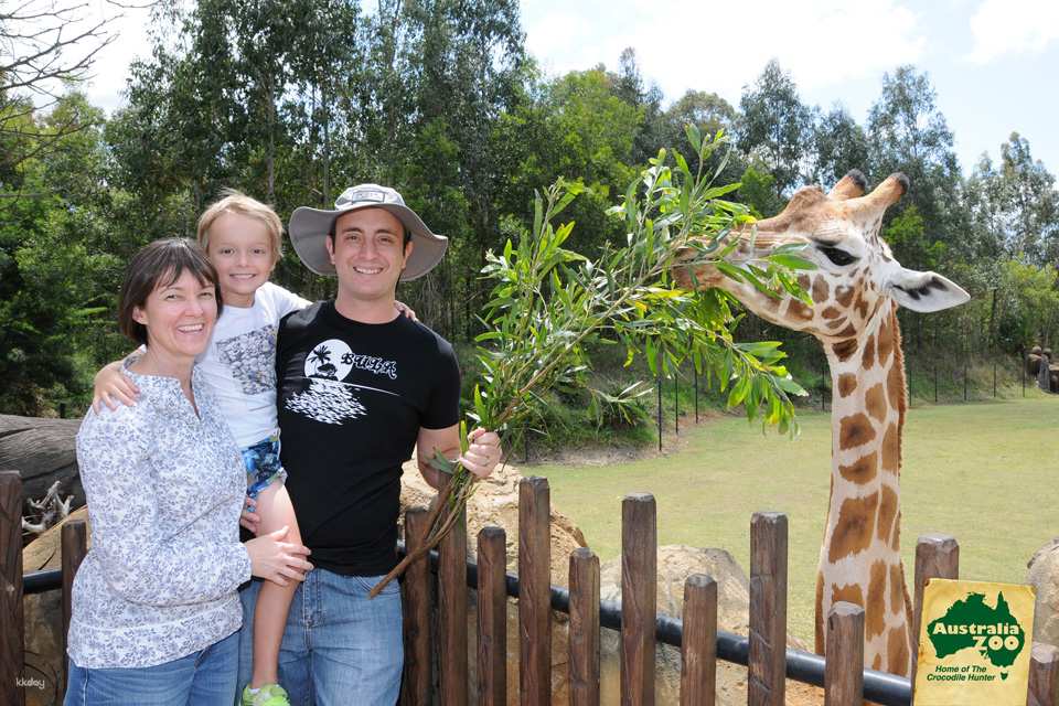 Australia Zoo Entry with Brisbane City Transfers | Australia
