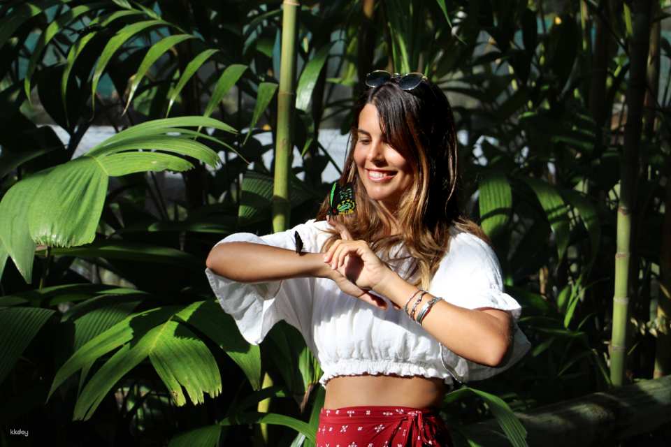 Australian Butterfly Sanctuary Admission Ticket | Australia