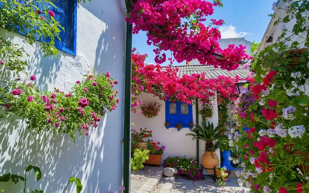Authentic Patios of Cordoba Skip-the-Line Guided Tour Image 1