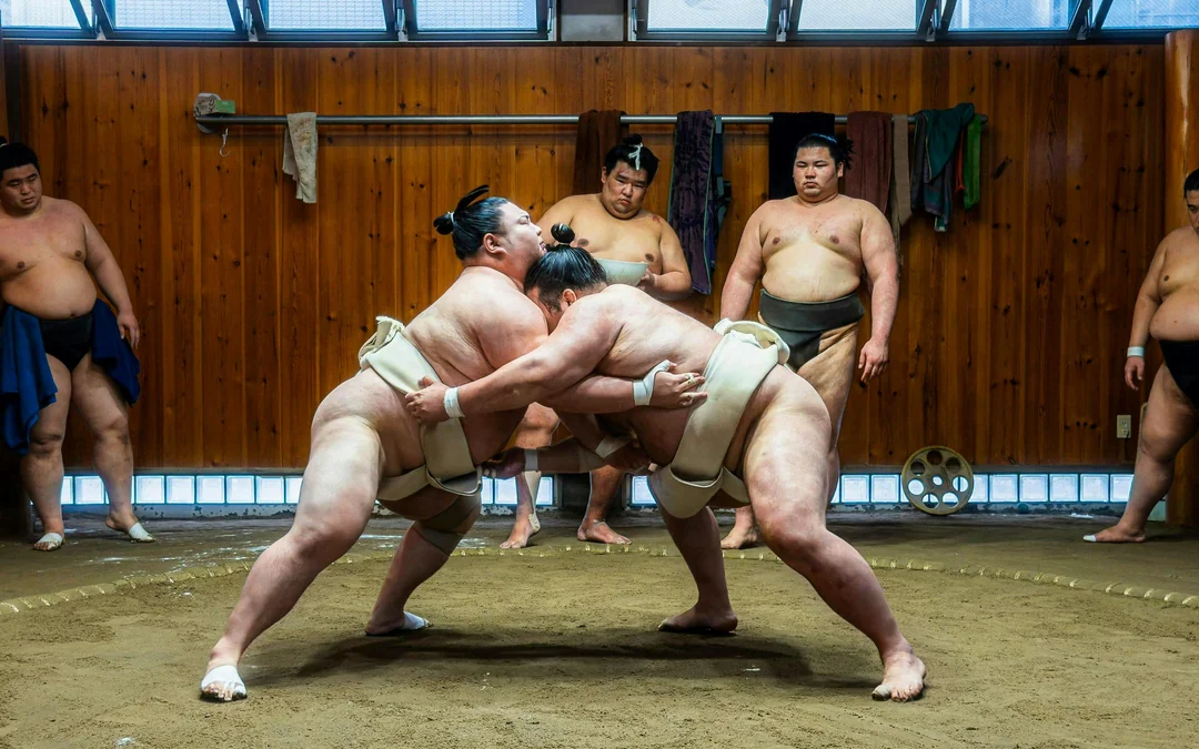 Authentic Tokyo Sumo Practice with Seat, Photos, and Audio Guide Image 1