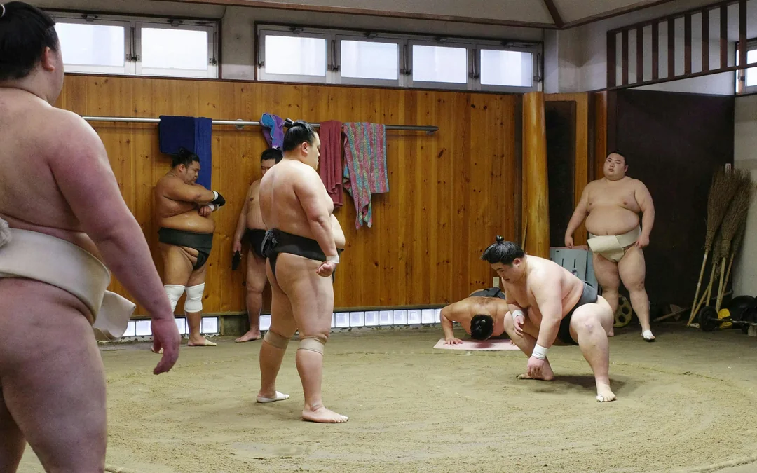 Authentic Tokyo Sumo Practice with Seat, Photos, and Audio Guide Image 3