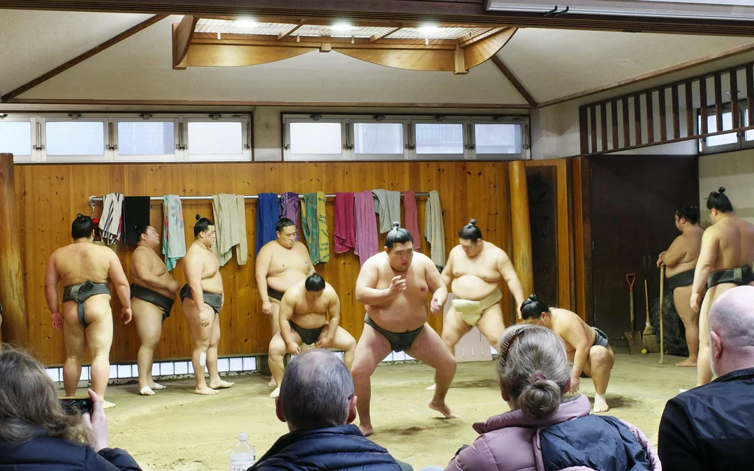 Authentic Tokyo Sumo Practice with Seat, Photos, and Audio Guide Image 4