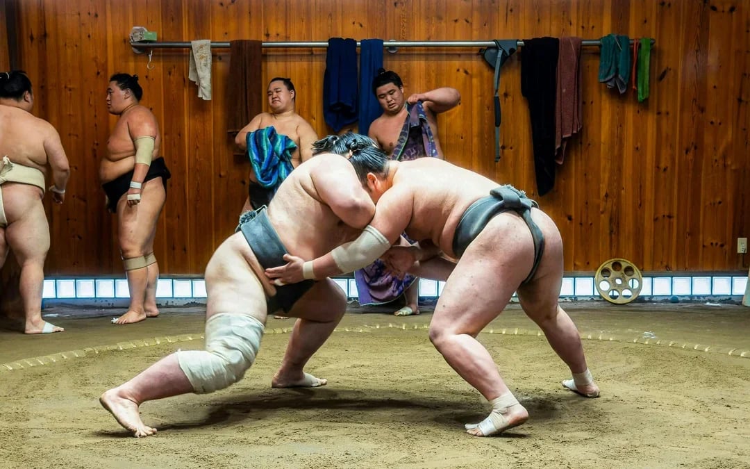 Authentic Tokyo Sumo Practice with Seat, Photos, and Audio Guide Image 7