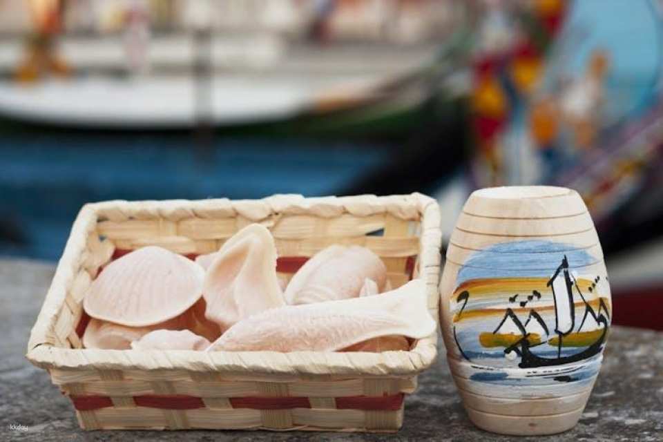 Aveiro guided tour from Porto