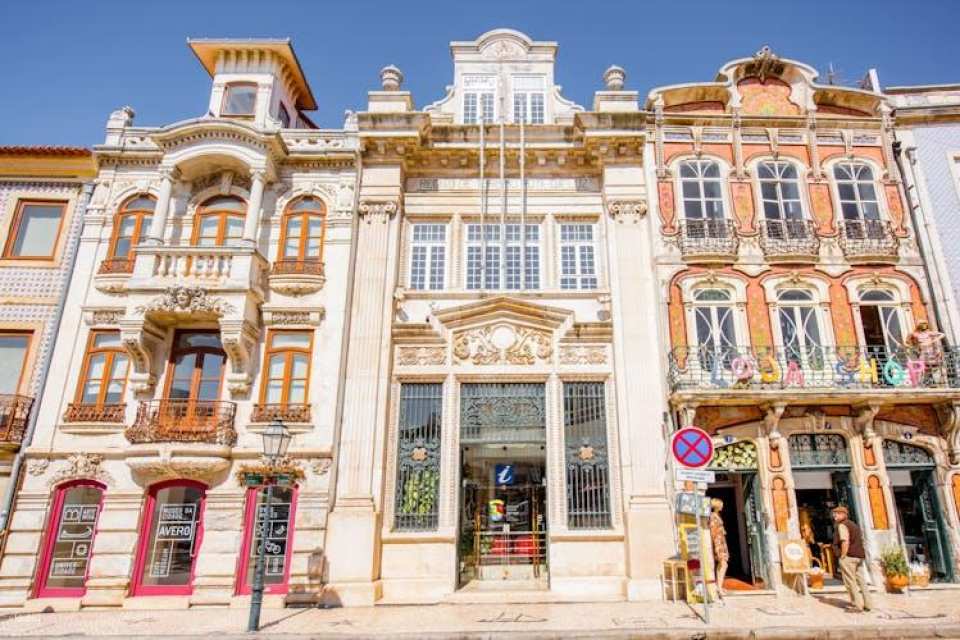 Aveiro guided tour from Porto