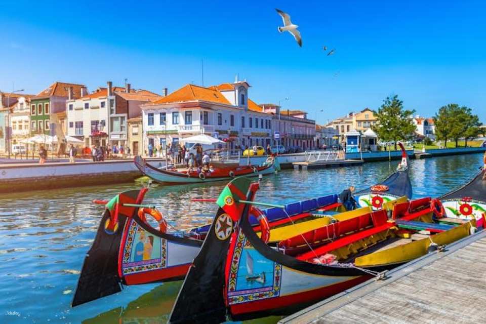 Aveiro guided tour from Porto