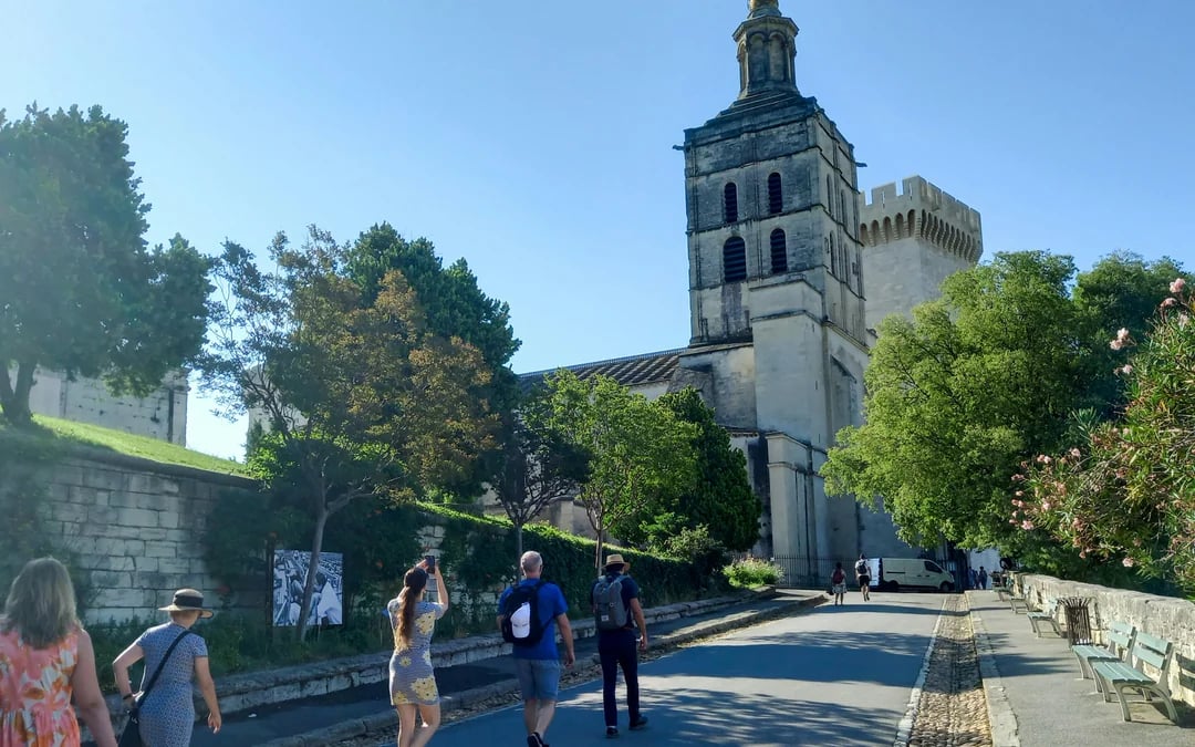 Avignon & Popes Palace Walking Tour from Avignon Image 6