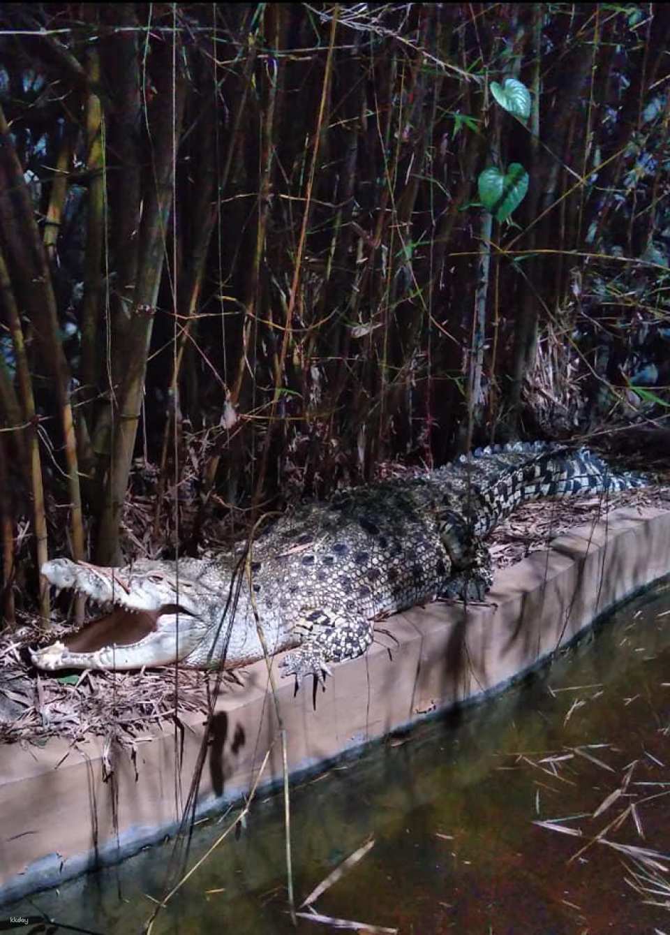 Avilon Zoo in Manila | Phillippines