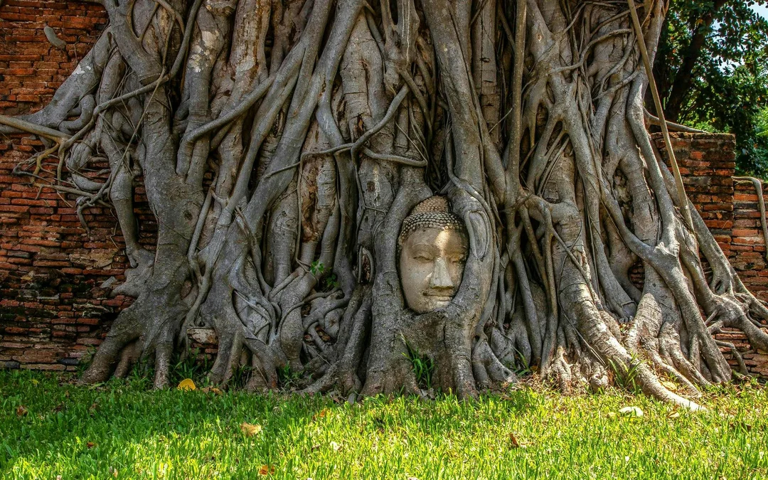 Ayutthaya Temples One Day Tour from Bangkok Image 5