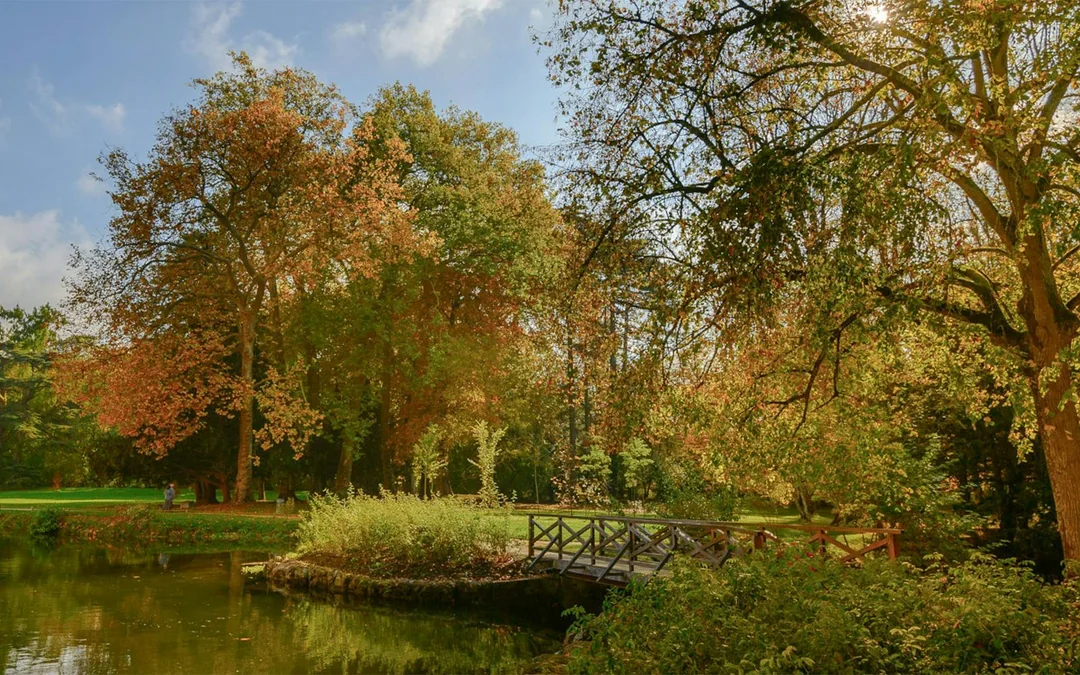 Azay-le-Rideau Castle & Gardens Tickets Image 9