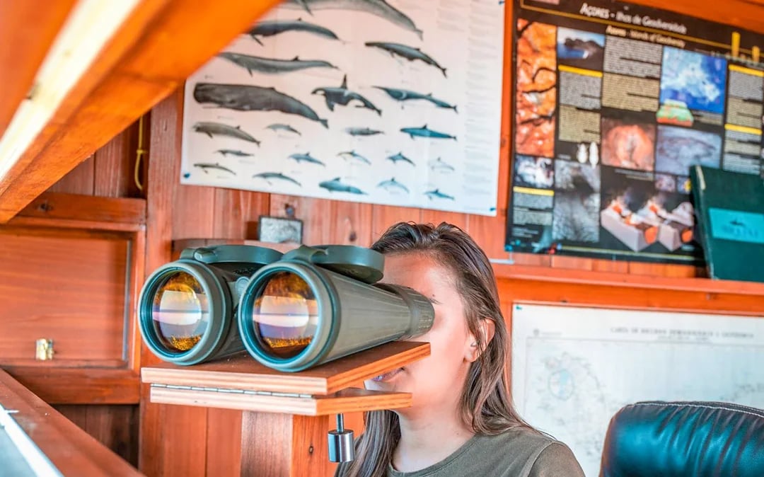 Azorean Whalers Heritage Tour Image 2