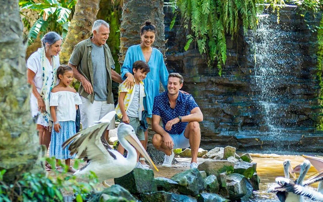 Bali Bird Park Entry Tickets + Lunch with Bird Stars Image 1