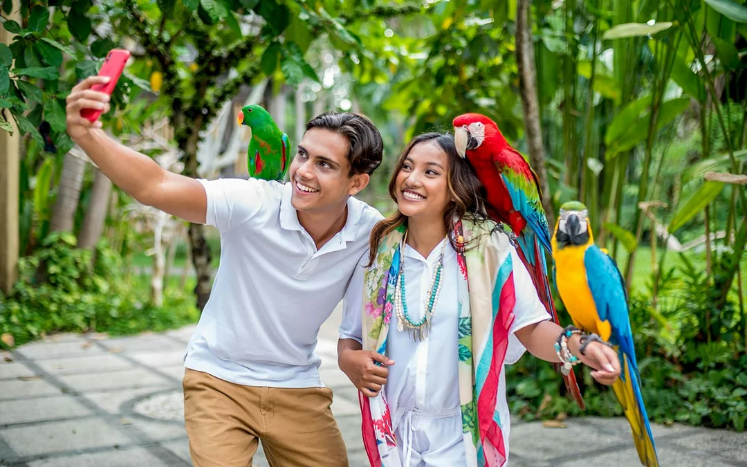 Bali Bird Park Entry Tickets + Lunch with Bird Stars Image 4