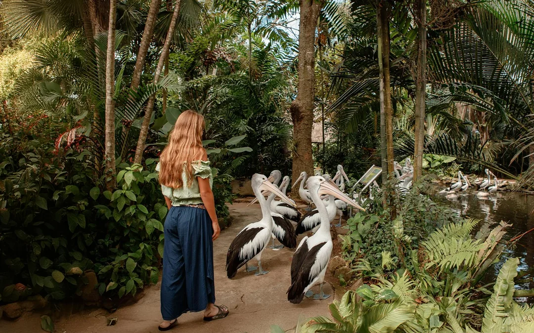 Bali Bird Park Group Saver Tickets: Group of 3 & More Image 2