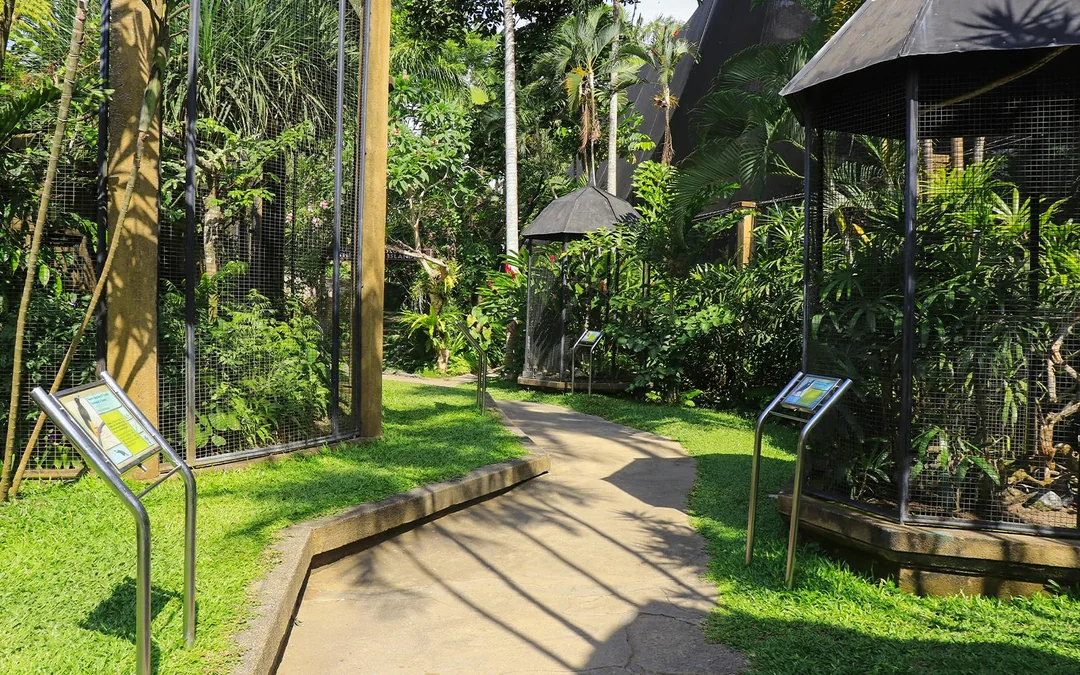 Bali Bird Park Group Saver Tickets: Group of 3 & More Image 3