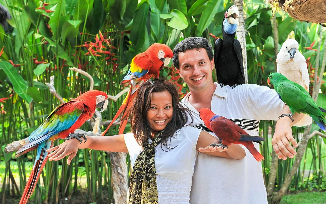 Bali Bird Park Group Saver Tickets: Group of 3 & More Image 4