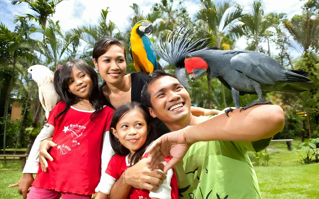 Bali Bird Park Group Saver Tickets: Group of 3 & More Image 6