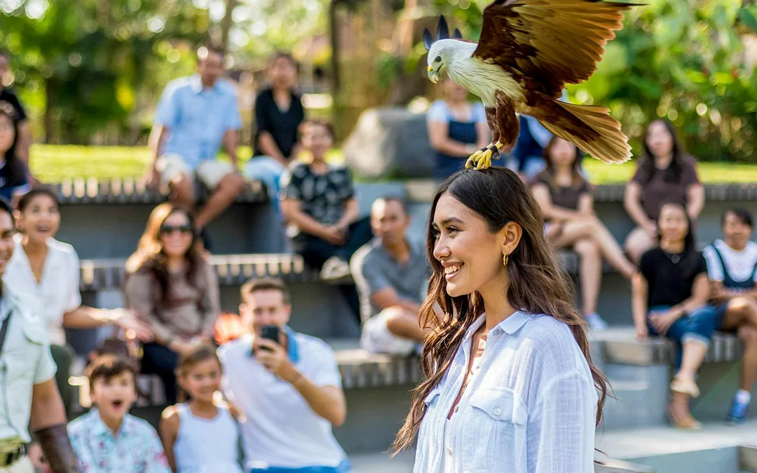Bali Bird Park Tickets Image 2