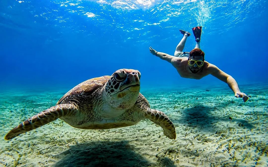 Bali Blue Lagoon and Tanjung Jepun Snorkeling with GoPro Capture Image 3