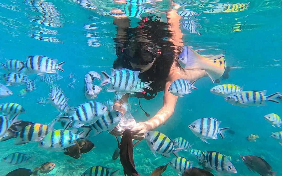 Bali Blue Lagoon and Tanjung Jepun Snorkeling with GoPro Capture Image 4