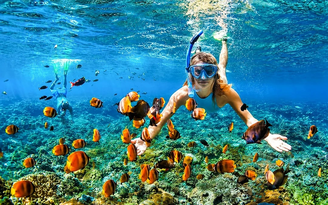 Bali Blue Lagoon Beach Snorkeling Tour at 2 Spots Image 4