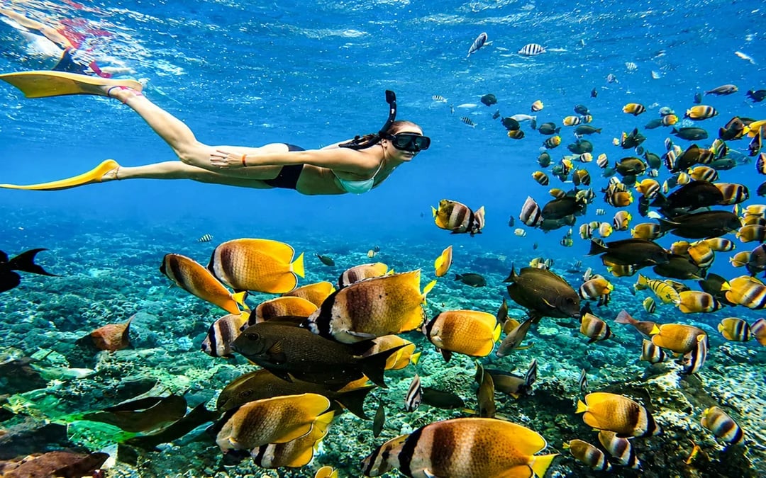 Bali Blue Lagoon Beach Snorkeling Tour at 2 Spots Image 5
