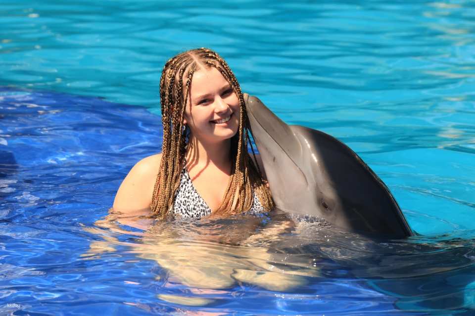 Bali Exotic Marine Park : Unique Dolphin Experience in Indonesia's Largest Lagoon