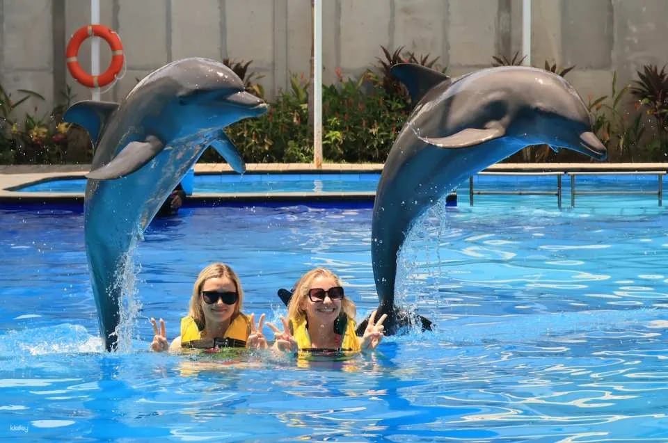 Bali Exotic Marine Park : Unique Dolphin Experience in Indonesia's Largest Lagoon
