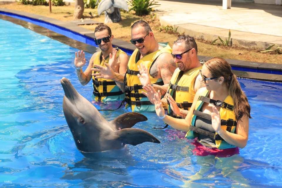 Bali Exotic Marine Park : Unique Dolphin Experience in Indonesia's Largest Lagoon