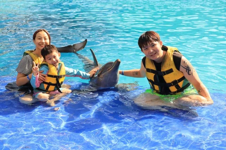 Bali Exotic Marine Park : Unique Dolphin Experience in Indonesia's Largest Lagoon