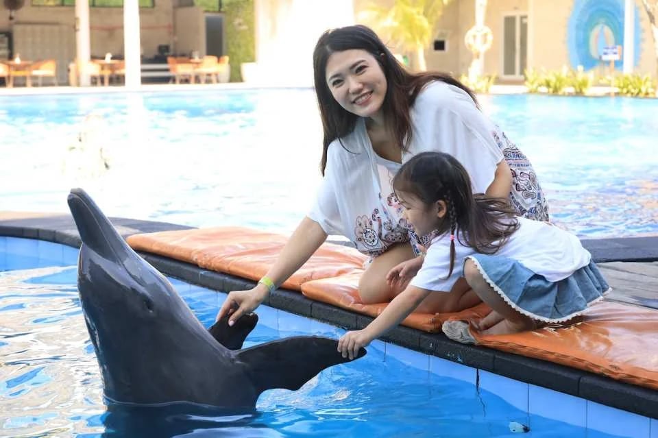 Bali Exotic Marine Park : Unique Dolphin Experience in Indonesia's Largest Lagoon