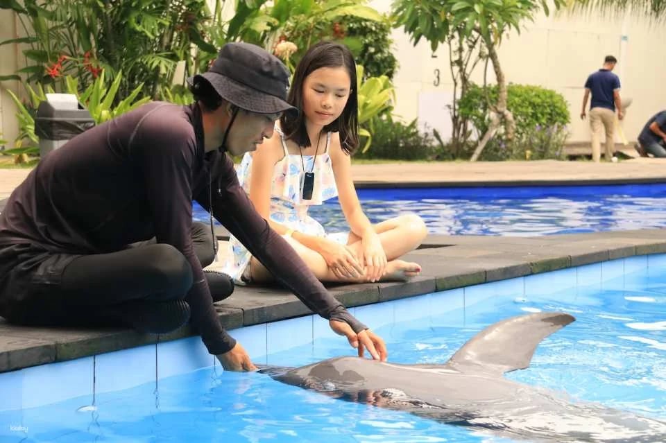 Bali Exotic Marine Park : Unique Dolphin Experience in Indonesia's Largest Lagoon