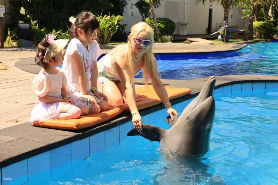 Bali Exotic Marine Park : Unique Dolphin Experience in Indonesia's Largest Lagoon