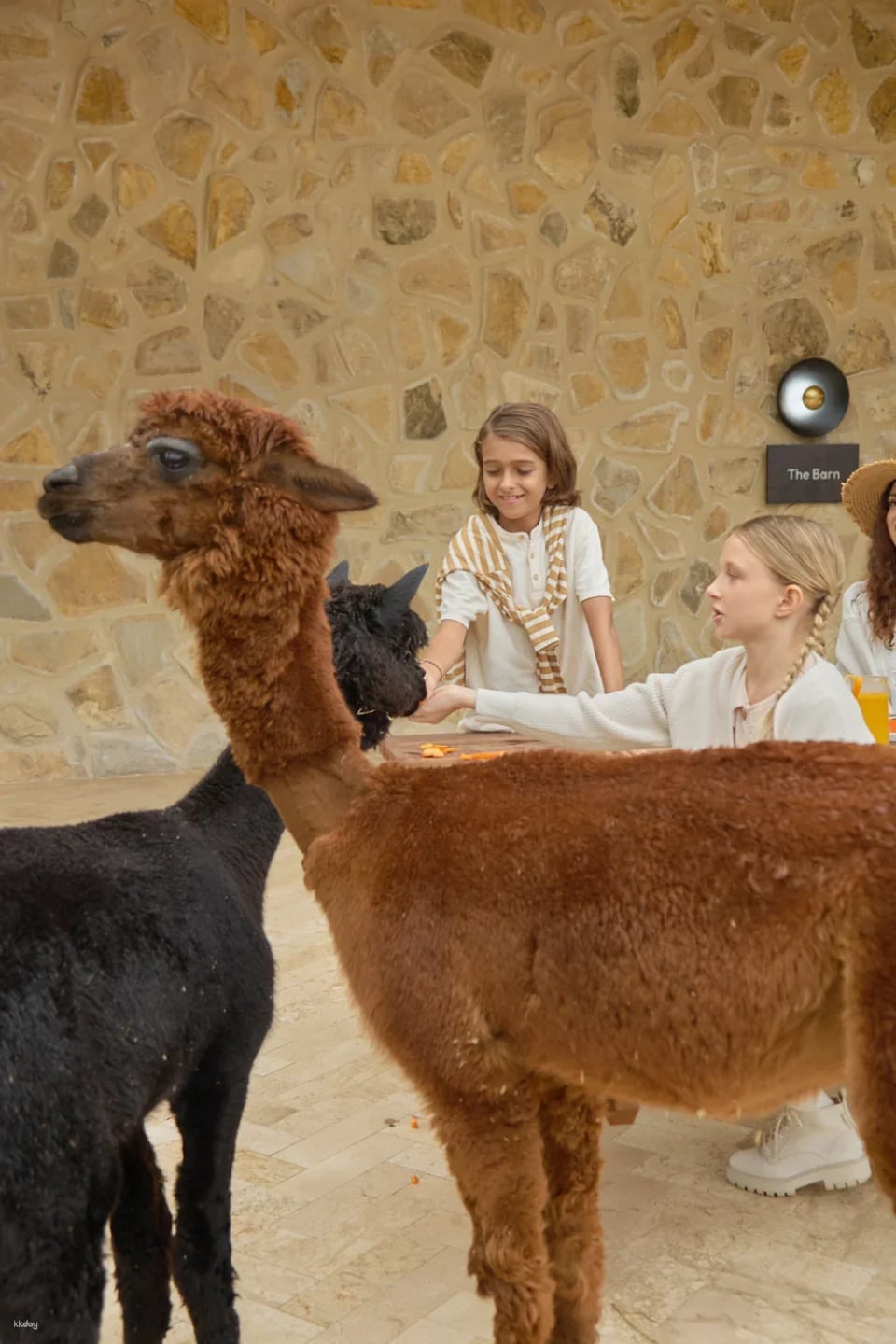 Bali Farm House Admission Ticket in Bali | Indonesia