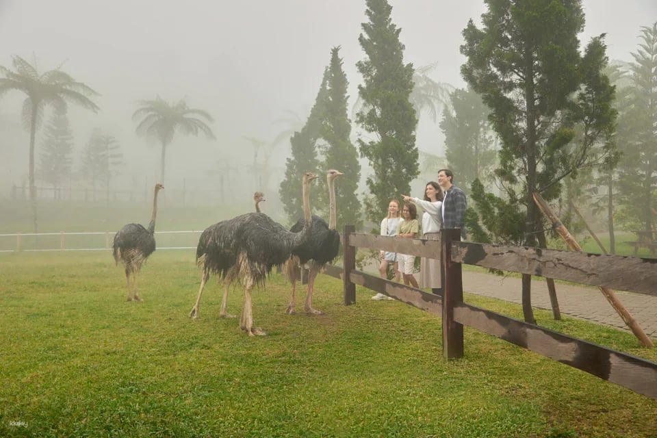 Bali Farm House Admission Ticket in Bali | Indonesia
