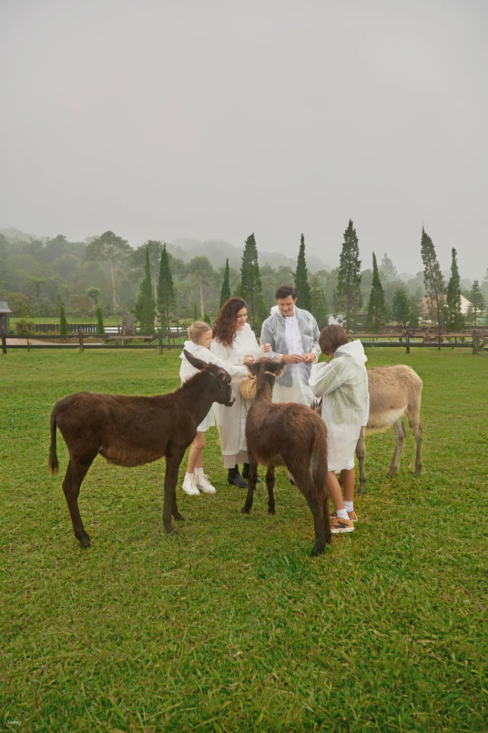Bali Farm House Admission Ticket in Bali | Indonesia