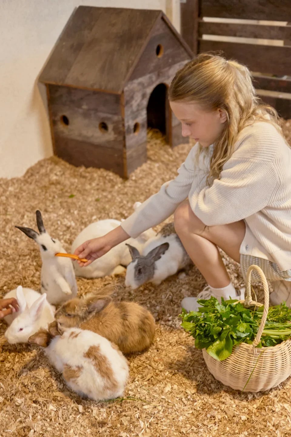 Bali Farm House Admission Ticket in Bali | Indonesia