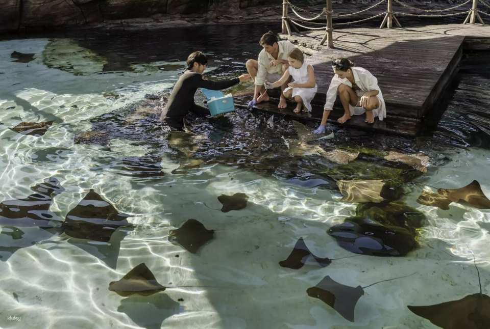Bali Marine Safari Adventure | Interactive Marine Life Experience | Departure from Bali