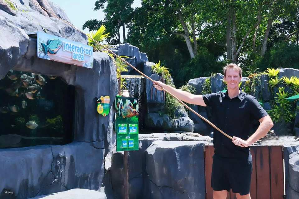 Bali Marine Safari Adventure | Interactive Marine Life Experience | Departure from Bali