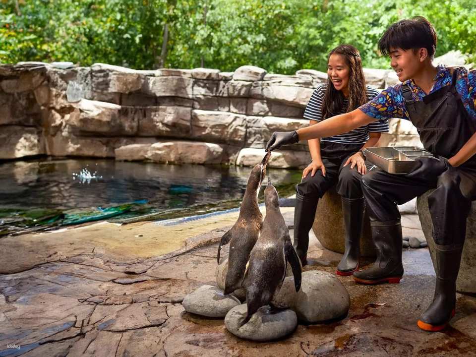 Bali Marine Safari Adventure | Interactive Marine Life Experience | Departure from Bali