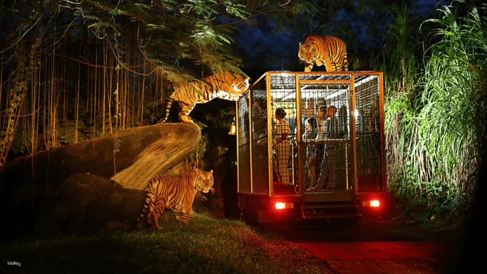 Bali Night Safari Adventure with Dinner - Unique Wildlife Experience | Departure From Bali