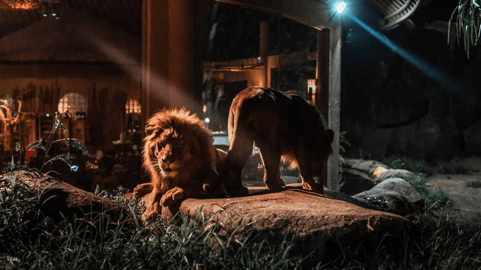 Bali Night Safari Adventure with Dinner - Unique Wildlife Experience | Departure From Bali