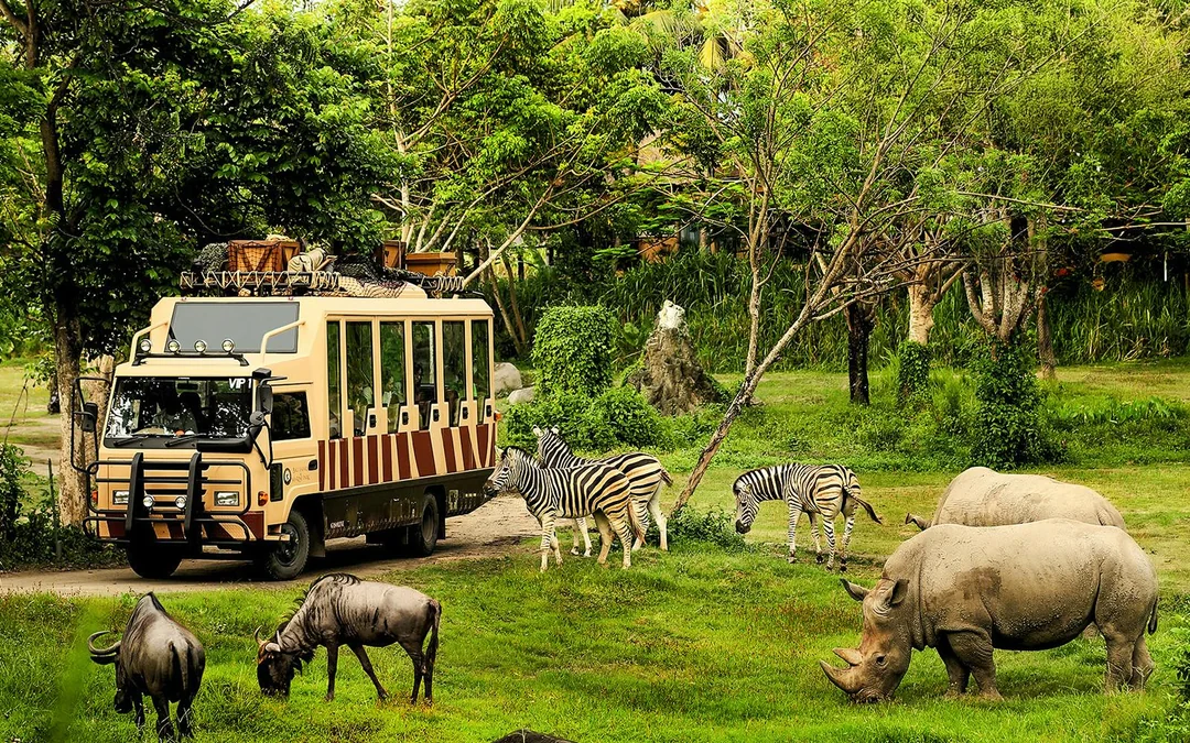 Bali Night Safari Tickets Image 5