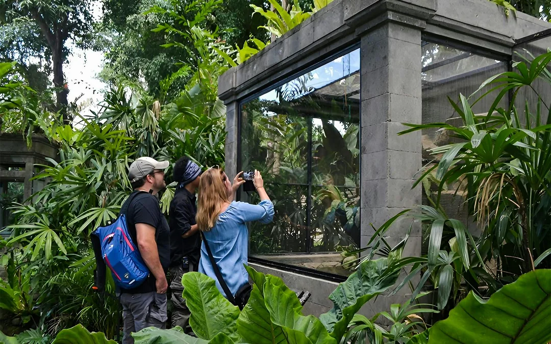Bali Reptile Park Tickets Image 2