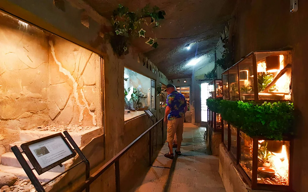 Bali Reptile Park Tickets Image 6