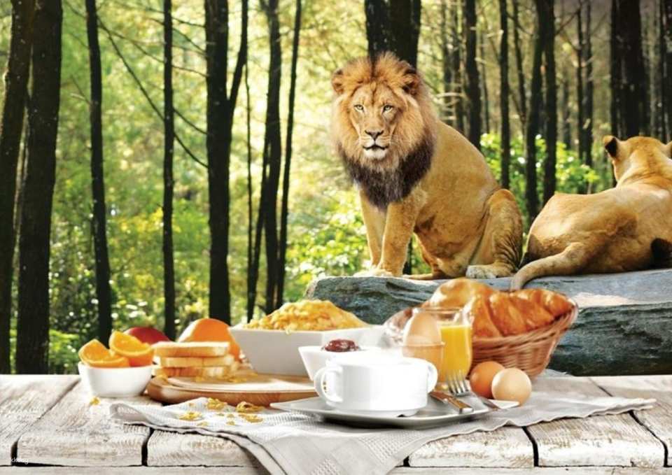 Bali Safari Breakfast with Lions | Dine Beside the King of the Jungle | Departure from Bali