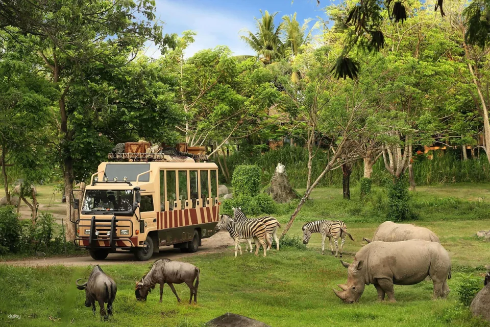 Bali Safari for Non-Indonesian ID Holder in Bali | Indonesia