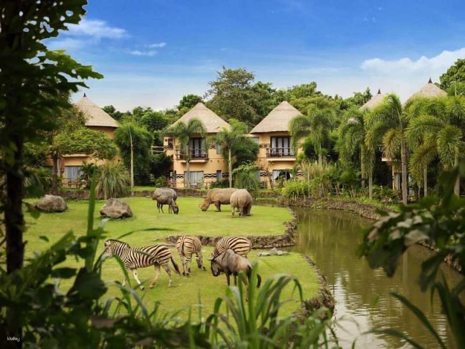 Bali Safari for Non-Indonesian ID Holder in Bali | Indonesia