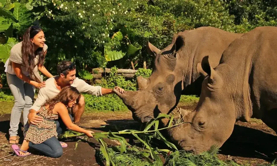 Bali Safari for Non-Indonesian ID Holder in Bali | Indonesia