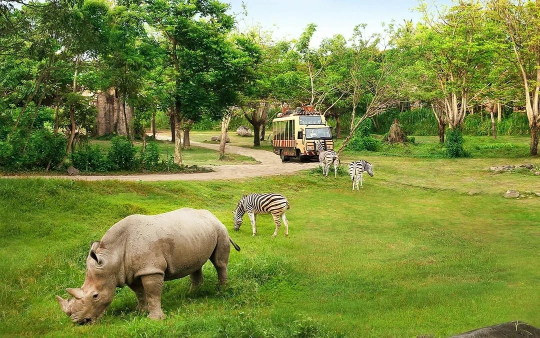 Bali Safari Park Tickets & Meal with Lion View Image 10
